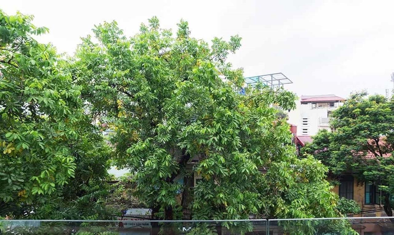 Apartament Ali House Hanoi Zewnętrze zdjęcie