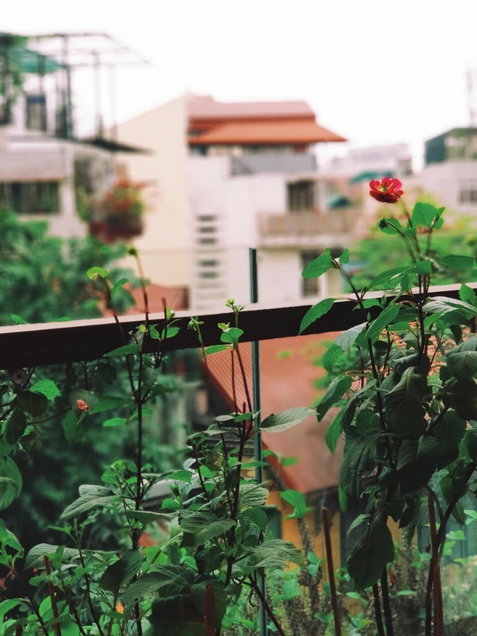 Apartament Ali House Hanoi Zewnętrze zdjęcie